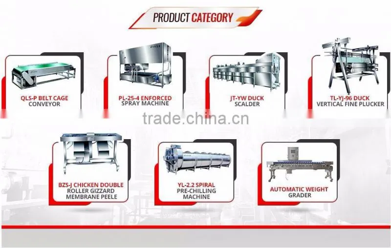 Over 20 years manufacturer and Focusing on Crate Washer Machine