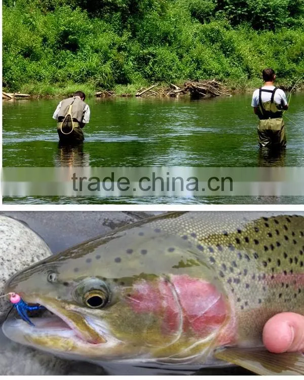 Swimming Flies Tungsten Cone Heads