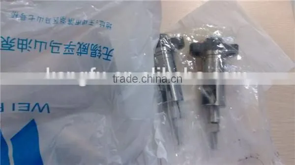 Diesel Engine Plunger 2425 981