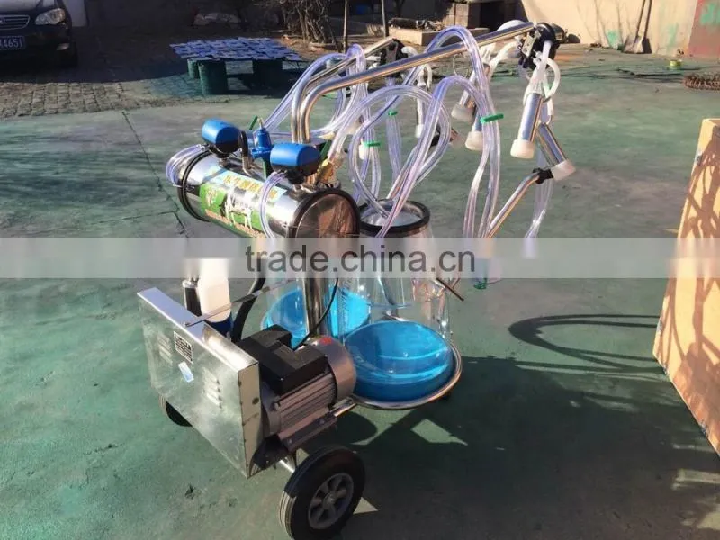 piston double bucket milk machine