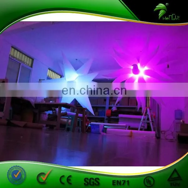 Wonderful Inflatable Christmas LED Light / Star Light for Decoration at Factory Price