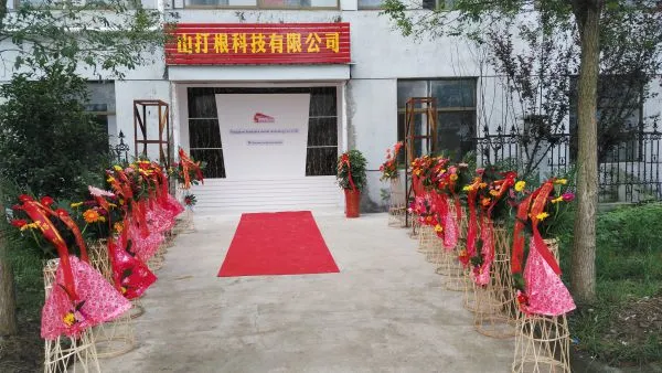 Yangzhou SanDaKan Model Technology Co., Ltd. company overview - view 1