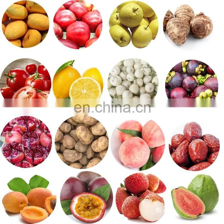vegetable and fruit avocado garlic tomato pomelo pomegranate cherry washing grading sorting machine