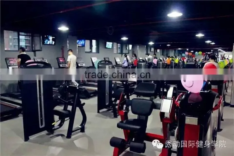 Commercial Gym Equipment/commercial fitness/Pectoral Fly /TZ-6007