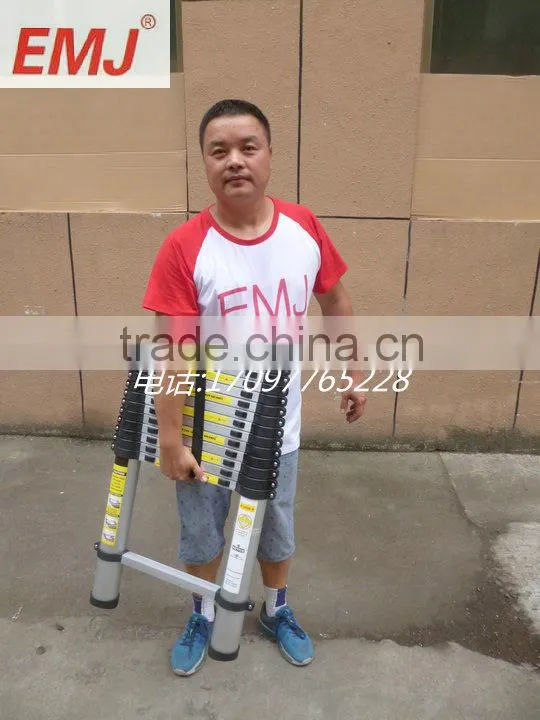carry bag for telescopic ladder hot selling in ebay.