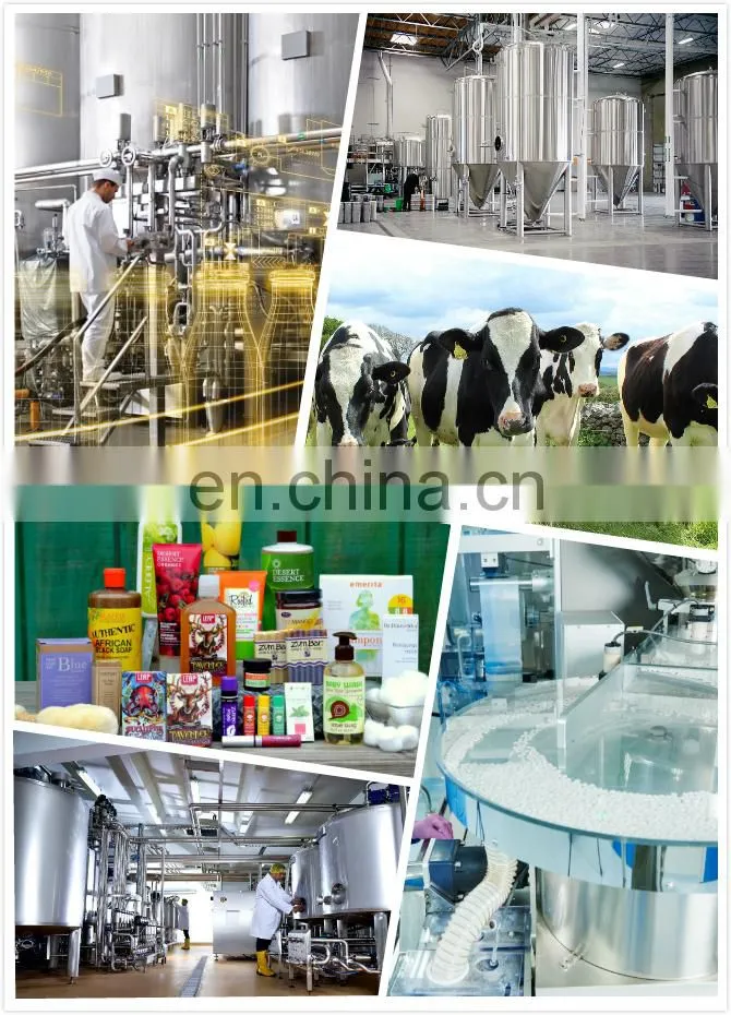 milk shipping tank cow milk collect and transport tank