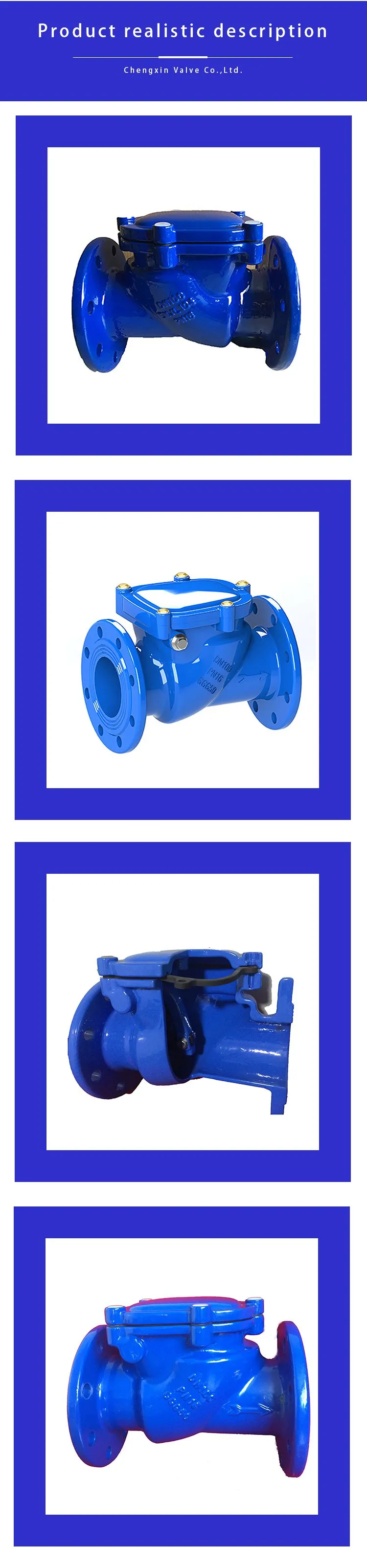 BS Swing Check Valve 1-6.jpg.webp