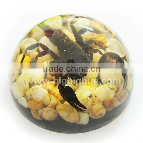 Hot selling small crystal ball with real ember embedded for promotional gift