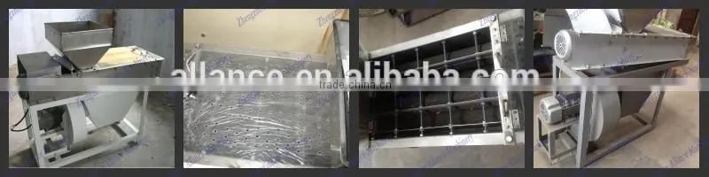 Exported to Negeria peanut skin removing machine for peanut processing