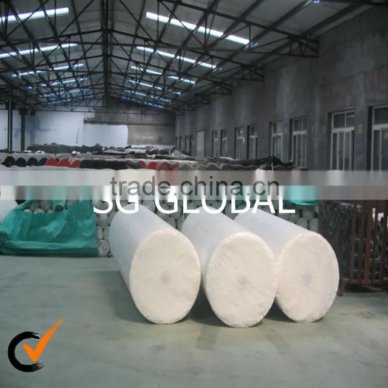 2013 NEW pe tarpaulin sheet
