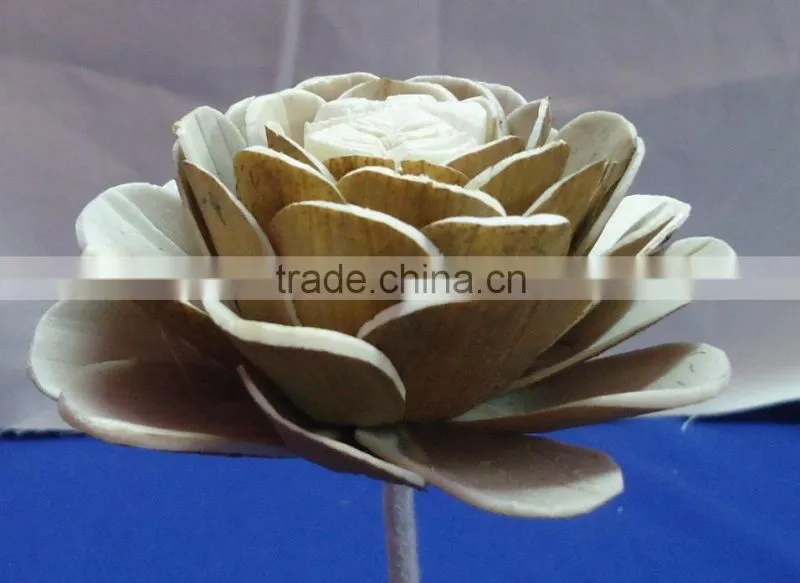 Sola flower for decoration