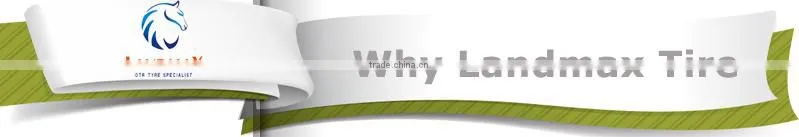 Promotion Sunny Winter Tyre 225/45R17