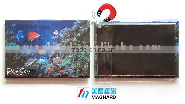 New tourist souvenir iron fridge magnet