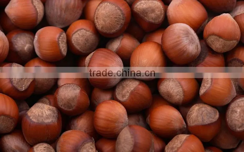 100% organic and natural Hazelnuts