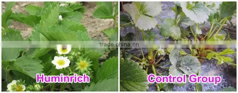 Huminrich 100% Water Soluble Potassium Humate Fertilizantes Para El Melon