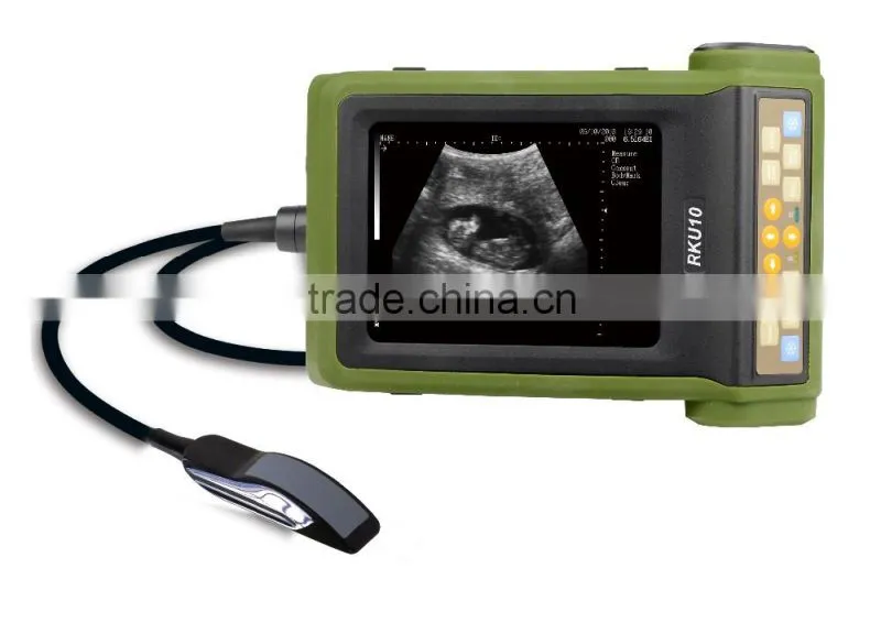 horse Ultrasound/Vet Ultrasound Scanner/Best Ultrasound Machine for All Animals RKU10