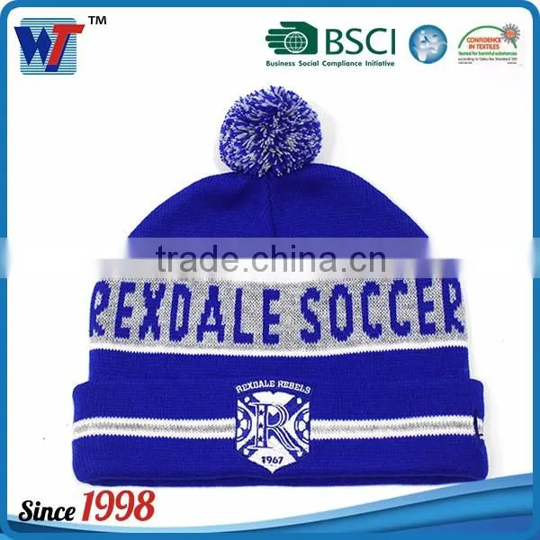 China Factory Supplied Blank Free Pom Hats Beanie
