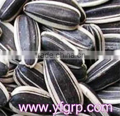 order Yummy Food supply cheap large confection bulk chinese sunflower seeds
