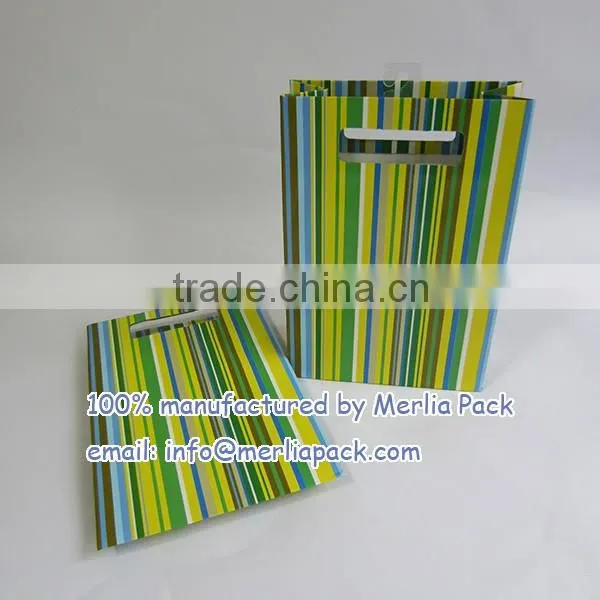 Luxury Paper Gift Bags Party Wedding Birthday with Euro Hook Slot Hang Tabs Bag