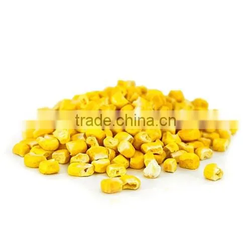 TTN Dried Corn Sweet Corn For Sale