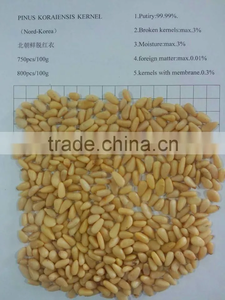 Chinese Pine Nut Kernels small bags