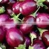 Fresh Brinjal