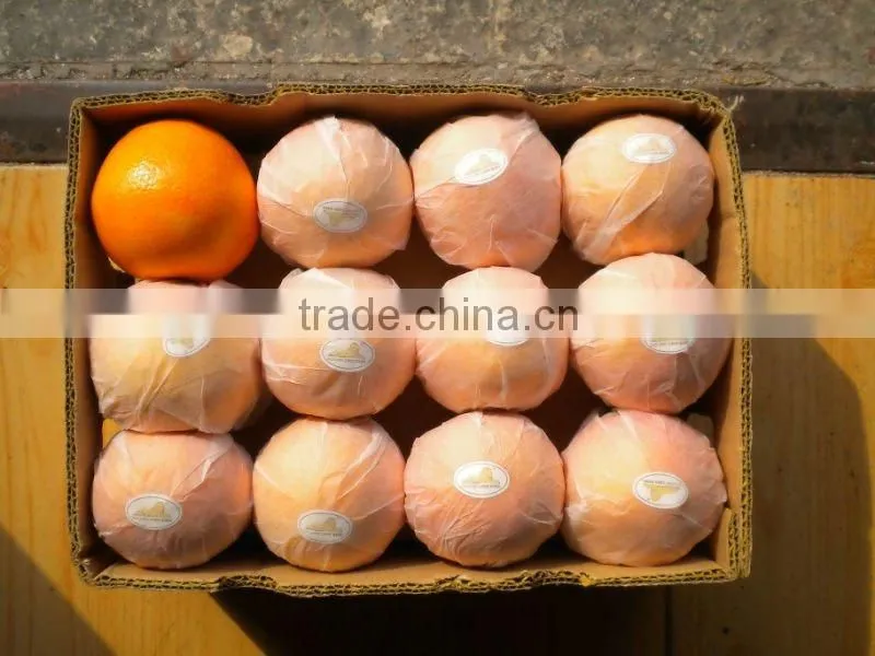 chinese new seasonal orange