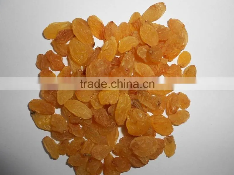 INDIAN EXPORTER YELLOW RAISIN