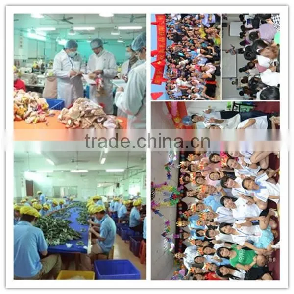 Wholesale Cheap Girl Foldable Promotional Earmuff