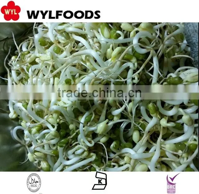 high quality frozen Soybean sprout 2015 best price