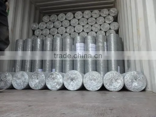 high quality galvanized chicken wire netting hexagonal wire netting poultry mesh
