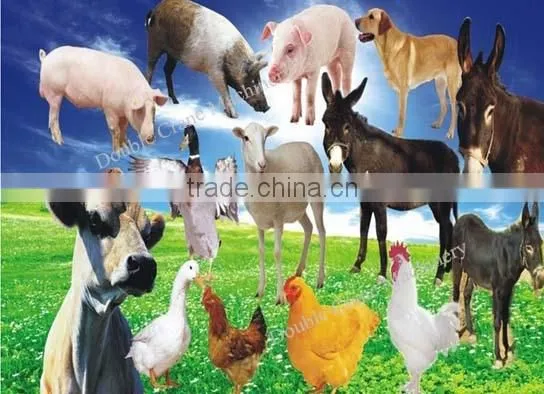 High quality animal feed grinder and mixer for sale