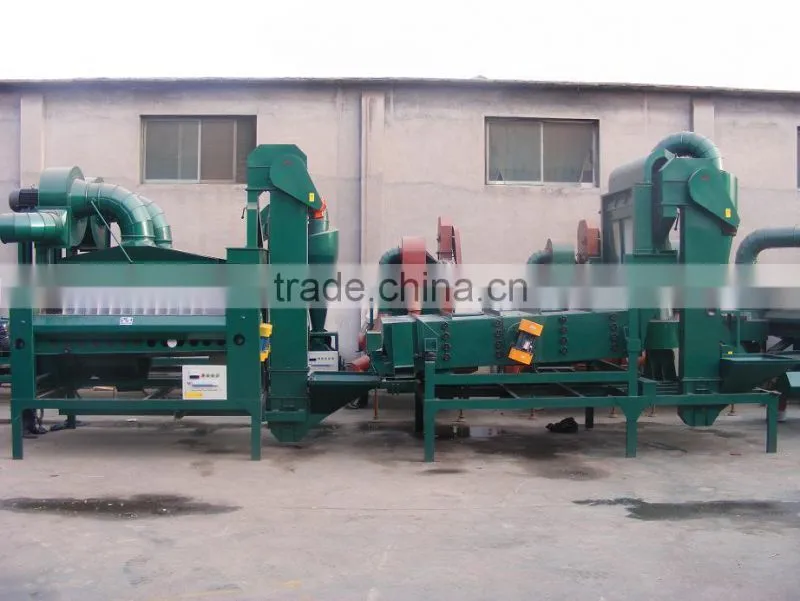 bean seed processing line