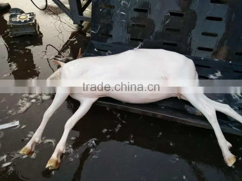 automatic sheep hair removal machine /sheep slaughtering line