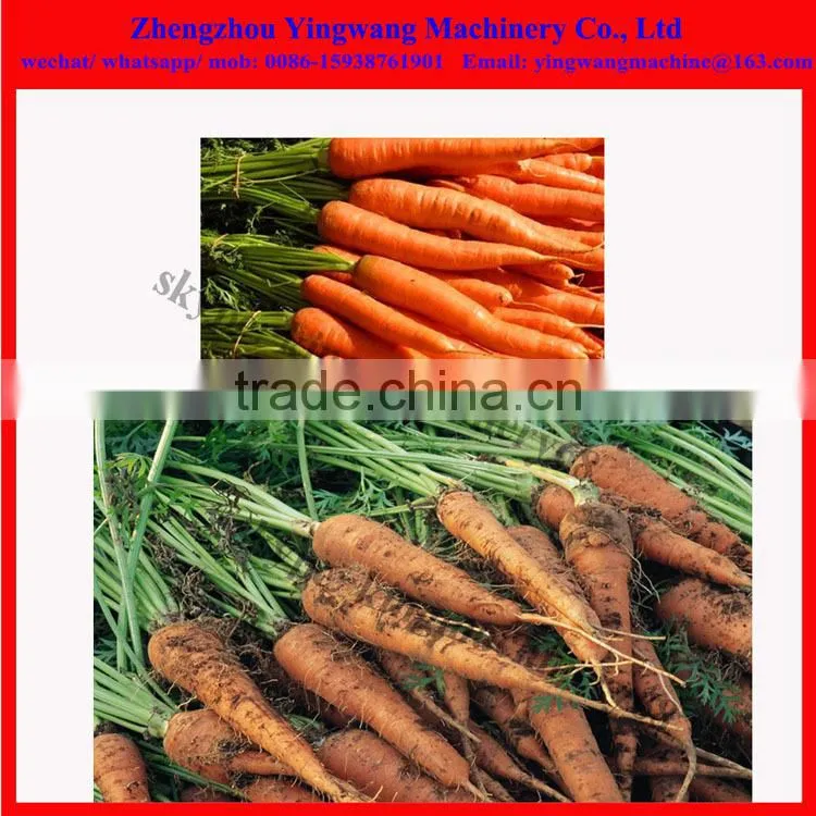 no broken peanut/ garlic/ carrots/ potato harvester machine (0086-15938761901)