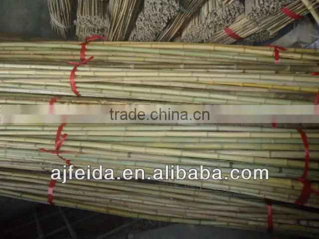FD07-natural eco-friendly Bamboo Poles/cane