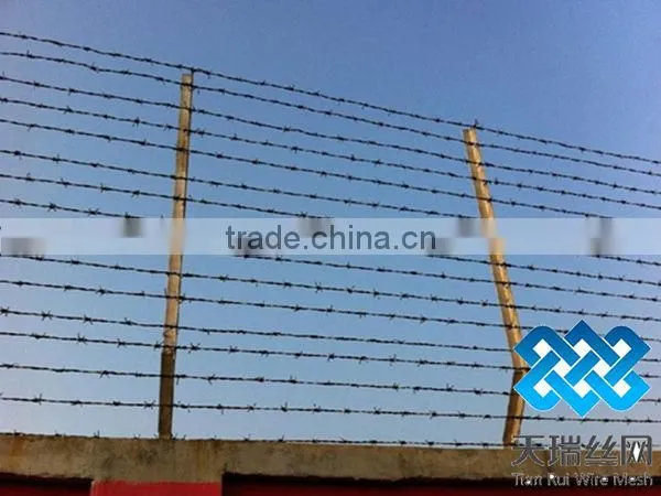 High quality different types of galvanized barbed wire