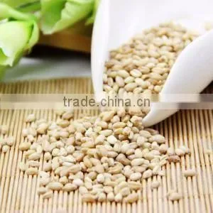 High precision--Wheat seeds cleaning machine