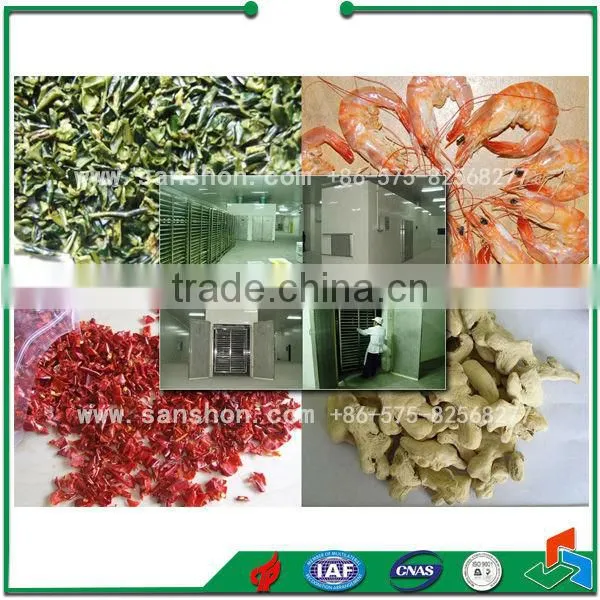 Advanced Material Loading Trays SSJ Vegetable Tray Dryer