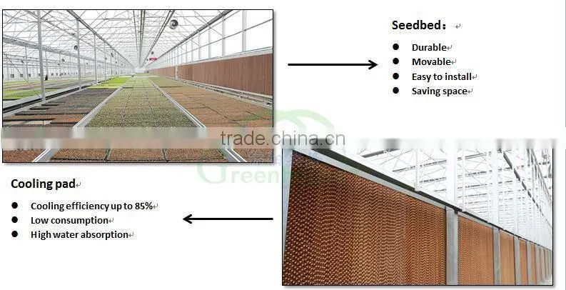 Industrial Exhaust fan Ventilation fan for agriculture greenhouse