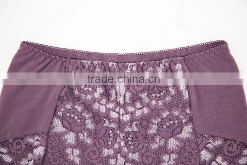 High Quality Custom 95% Cotton 5% Spandex with Lace Sexy Fancy Woman Underwear