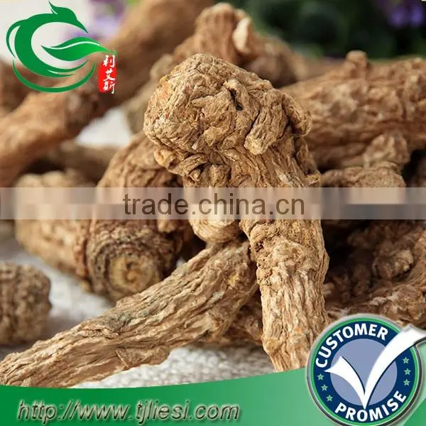 supply angelica not extract