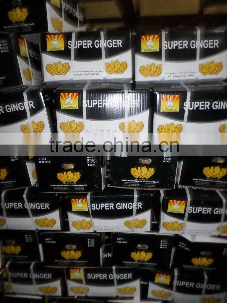 2015 ginger very best quality