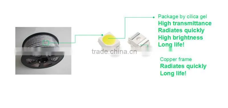 Green color Christmas Strip Lights 110V waterproof