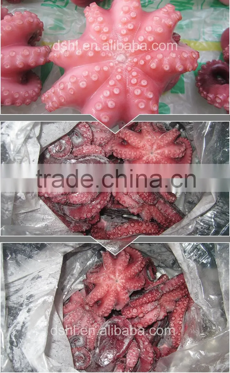 HL089 healthy fresh octopus wholesale