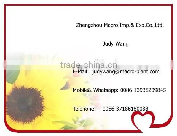 Durable instant fry pan ice cream machine