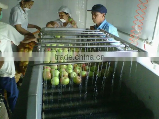 hot sales Apple juice production line(automatic)