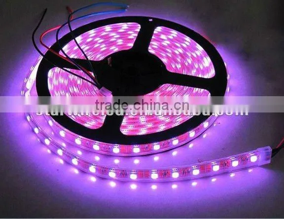 60pcs/m 5630 led strip lights led strip Led strip 5630 waterproof ip66 led strip light 24V 6000k led strip