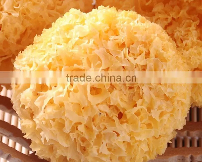 Low Price Tremella Chinese White Fungus