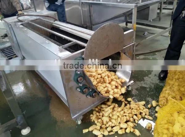 Hot sale potato garlic cleaning peeling machine for commercial use